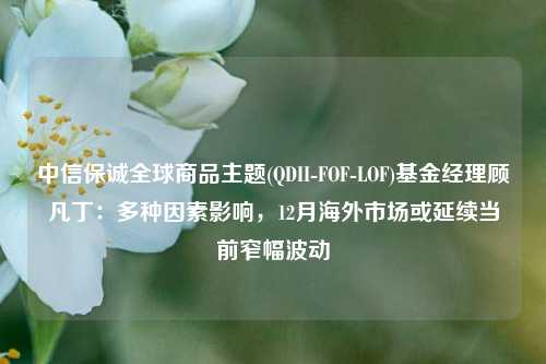 中信保诚全球商品主题(QDII-FOF-LOF)基金经理顾凡丁：多种因素影响，12月海外市场或延续当前窄幅波动-第1张图片-福建新闻网