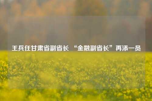 王兵任甘肃省副省长 “金融副省长”再添一员-第1张图片-福建新闻网