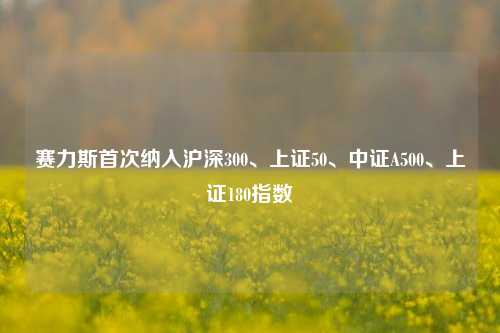 赛力斯首次纳入沪深300、上证50、中证A500、上证180指数-第1张图片-福建新闻网