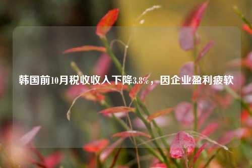 韩国前10月税收收入下降3.8%，因企业盈利疲软-第1张图片-福建新闻网