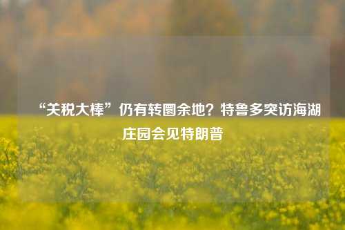 “关税大棒”仍有转圜余地？特鲁多突访海湖庄园会见特朗普-第1张图片-福建新闻网