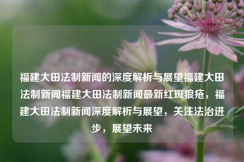 福建大田法制新闻的深度解析与展望福建大田法制新闻福建大田法制新闻最新红斑狼疮，福建大田法制新闻深度解析与展望，关注法治进步，展望未来，福建大田法制新闻深度解析与未来法治展望-第1张图片-福建新闻网