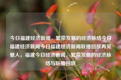 今日福建经济新闻，繁荣发展的经济脉络今日福建经济新闻今日福建经济新闻联播回放再见爱人，福建今日经济新闻，繁荣发展的经济脉络与联播回放，福建经济繁荣——今日经济新闻简析-第1张图片-福建新闻网