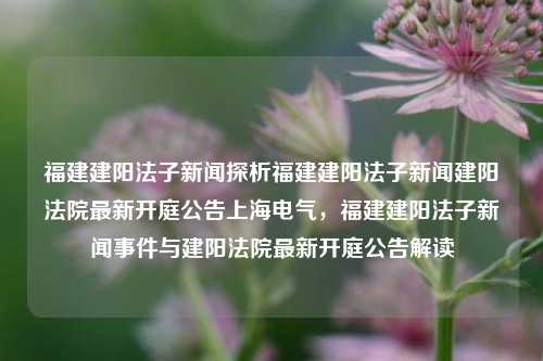 福建建阳法子新闻探析福建建阳法子新闻建阳法院最新开庭公告上海电气，福建建阳法子新闻事件与建阳法院最新开庭公告解读，福建建阳法子新闻与建阳法院最新开庭公告解读-第1张图片-福建新闻网