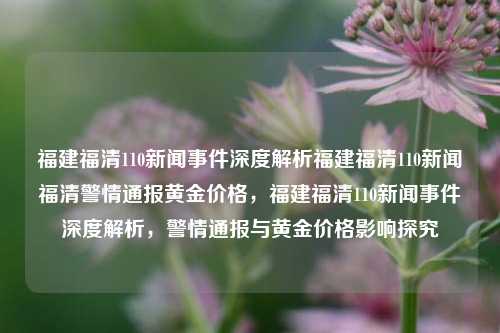 福建福清110新闻事件深度解析福建福清110新闻福清警情通报黄金价格，福建福清110新闻事件深度解析，警情通报与黄金价格影响探究，福建福清110新闻事件深度解析与黄金价格波动的警情探究-第1张图片-福建新闻网