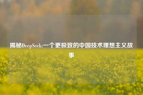 揭秘DeepSeek:一个更极致的中国技术理想主义故事