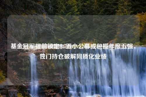 基金冠军提前锁定！五小公募或包揽年度五强，独门持仓破解同质化业绩