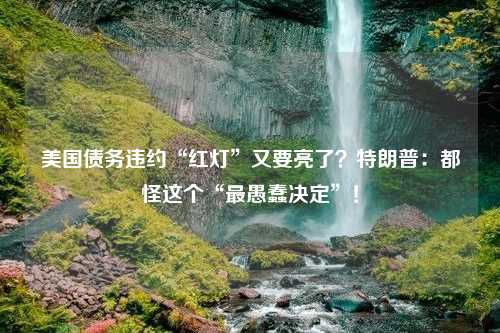 美国债务违约“红灯”又要亮了？特朗普：都怪这个“最愚蠢决定”！