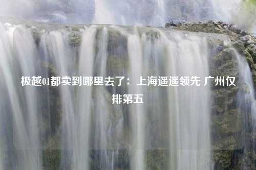 极越01都卖到哪里去了：上海遥遥领先 广州仅排第五