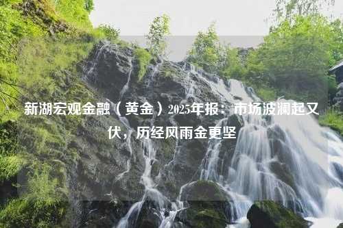 新湖宏观金融（黄金）2025年报：市场波澜起又伏，历经风雨金更坚