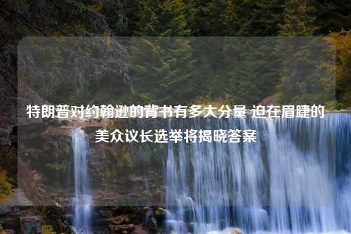 特朗普对约翰逊的背书有多大分量 迫在眉睫的美众议长选举将揭晓答案