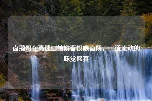 卤鹅哥在高速口给游客投喂卤鹅，一道流动的味觉盛宴