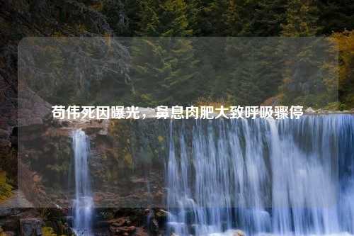 苟伟死因曝光，鼻息肉肥大致呼吸骤停