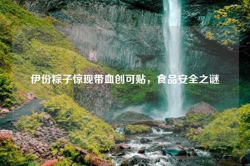 伊份粽子惊现带血创可贴，食品安全之谜