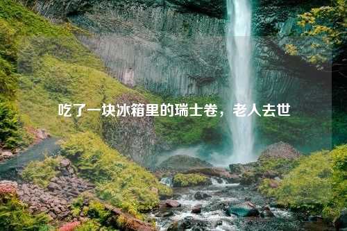 吃了一块冰箱里的瑞士卷，老人去世