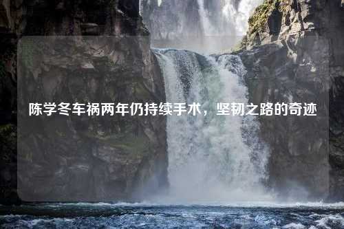 陈学冬车祸两年仍持续手术，坚韧之路的奇迹