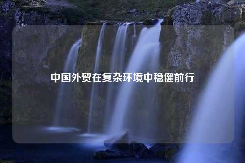 中国外贸在复杂环境中稳健前行
