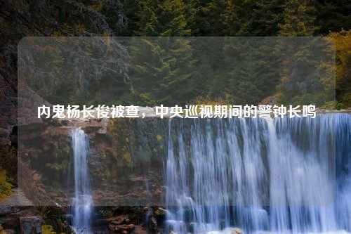 内鬼杨长俊被查，中央巡视期间的警钟长鸣