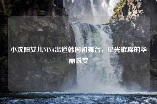 小沈阳女儿NINA出道韩国初舞台，星光璀璨的华丽蜕变