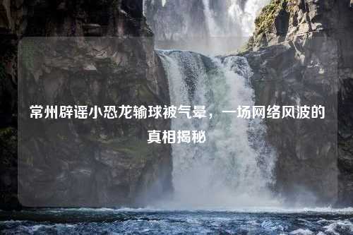 常州辟谣小恐龙输球被气晕，一场网络风波的真相揭秘